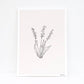 A3 Print ''Lily of the valley'', List living