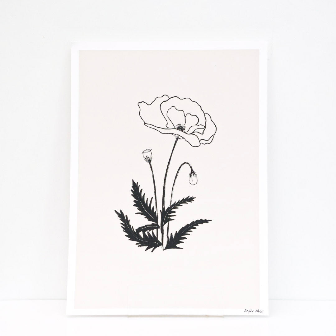 A3 Print ''Poppy'', List living