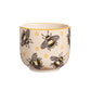 Posodica za rastline mini "Busy Bees", Sass & Belle