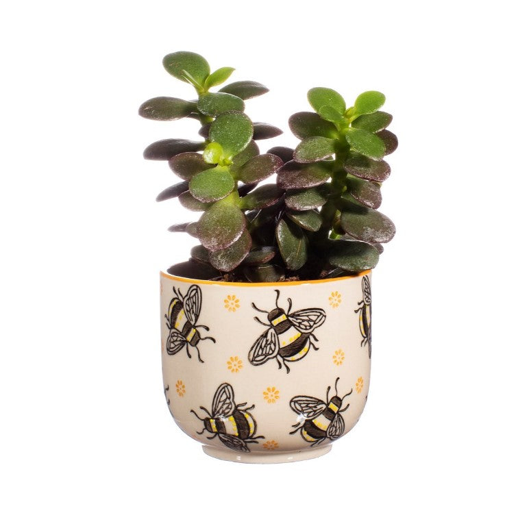 Posodica za rastline mini "Busy Bees", Sass & Belle