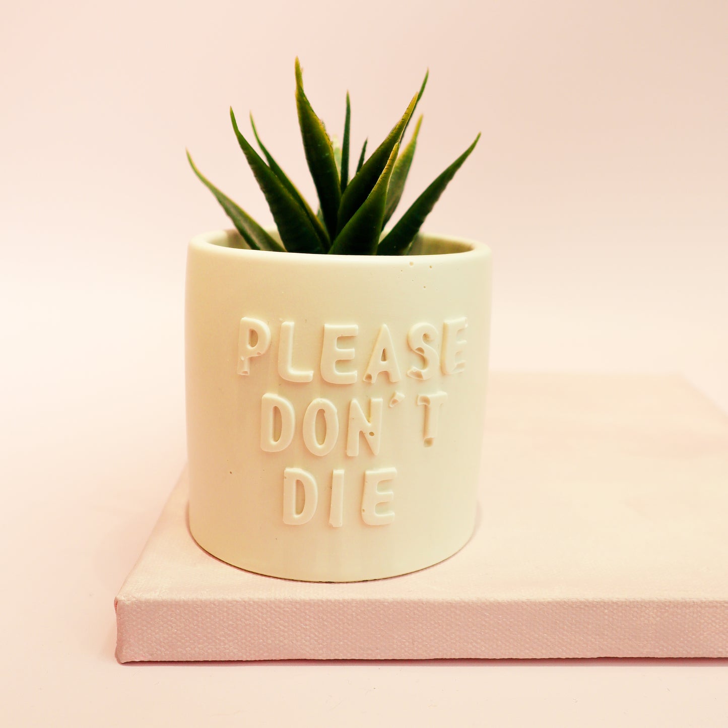 Posoda za rastline "Please don't die - rumena", M Design Home