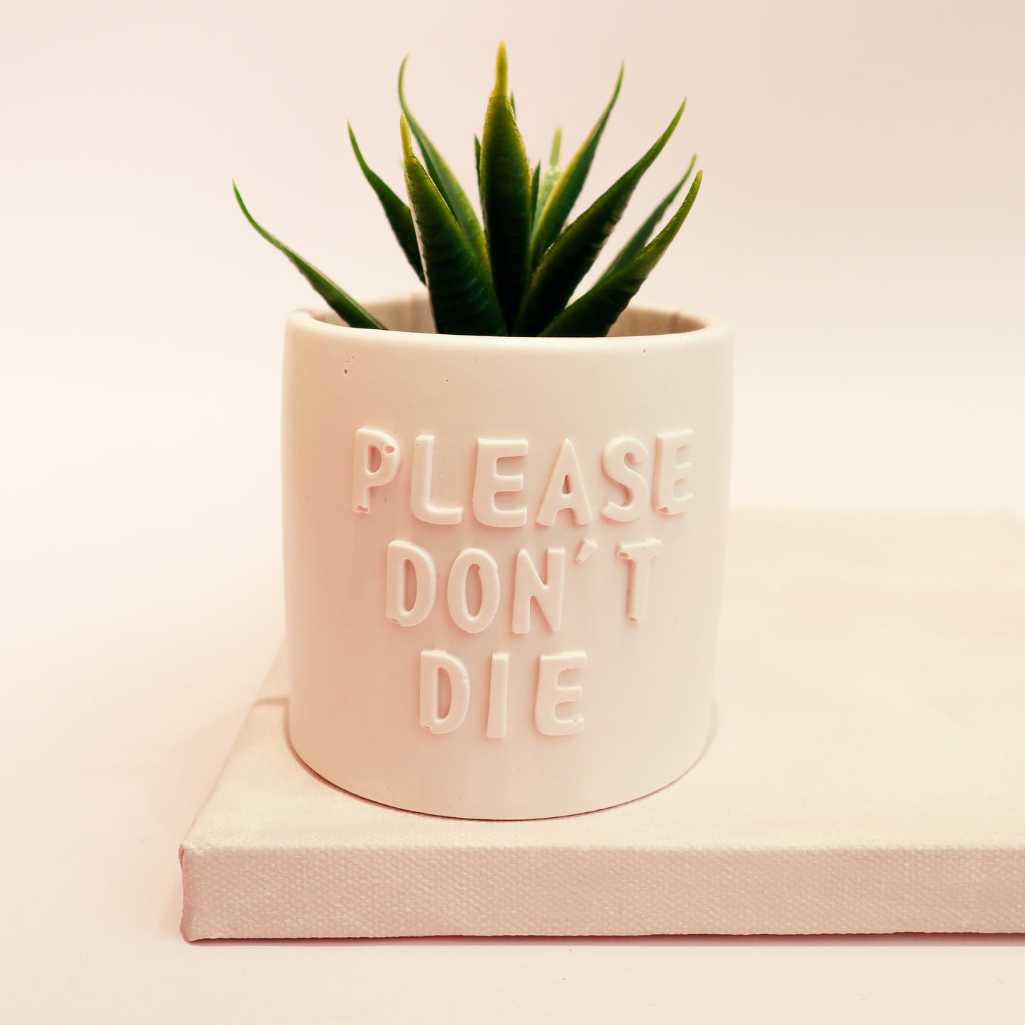 Posoda za rastline "Please don't die - roza", M Design Home