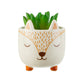 Posodica za rastline mini "Woodland Fox", Sass & Belle